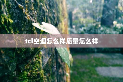 tcl空调怎么样质量怎么样 tcl两匹空调质量怎么样？