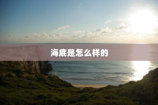 海底是怎么样的 “你可知道，大海深处是怎样的吗？”这是《海底世界》的开头，请你也用这样的开头写一段话？