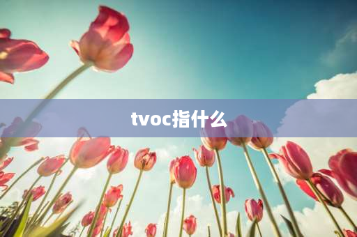 tvoc指什么 TVOC是什么，怎么去除？