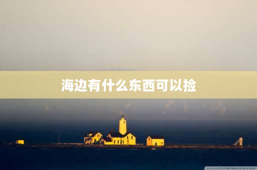 海边有什么东西可以捡 能赶海的四个地方？