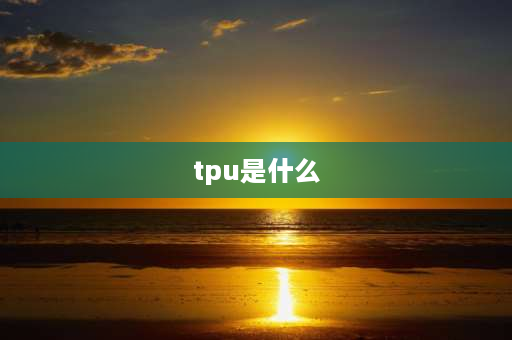 tpu是什么 tpu是什么意思？