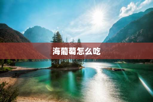 海葡萄怎么吃 海葡萄和海带的区别？