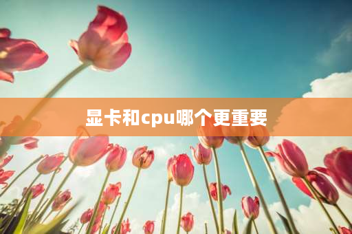 显卡和cpu哪个更重要 为什么显卡要比CPU贵好多？零件的问题吗？说说显卡贵在什么地方？