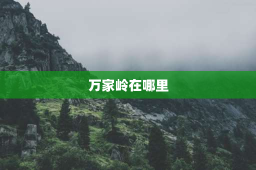 万家岭在哪里 万家岭战役中方伤亡多少人？