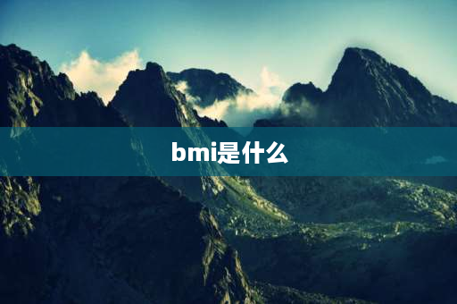 bmi是什么 bmi什么意思？