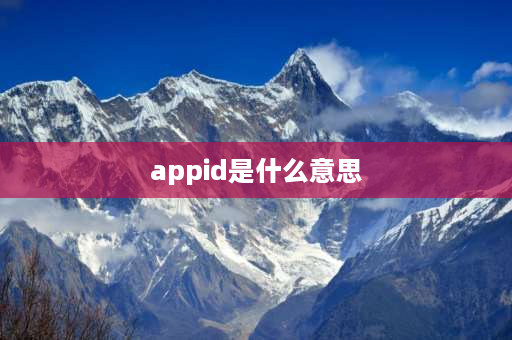 appid是什么意思 手机id账户是什么？