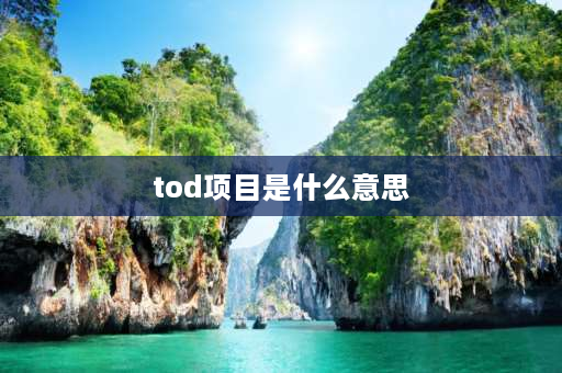 tod项目是什么意思 TOD是什么意思？