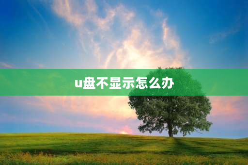 u盘不显示怎么办 u盘能显示但读不出来怎么修复？