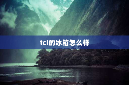 tcl的冰箱怎么样 TCL冰箱怎么样？