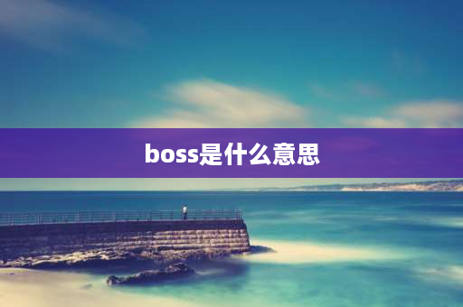 boss是什么意思 Boss是什么意思？