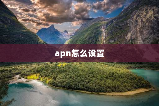 apn怎么设置 APN要怎么设置？