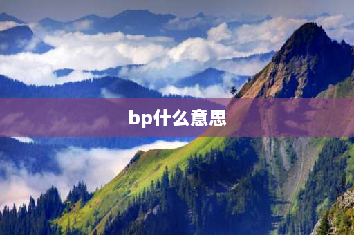 bp什么意思 BP指什么？