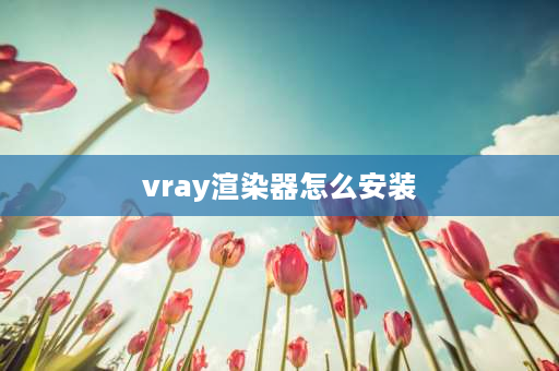 vray渲染器怎么安装 VRay怎么安装？