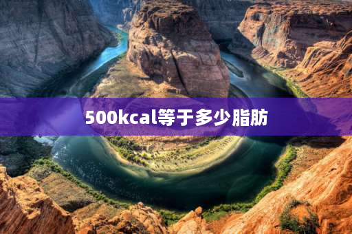 500kcal等于多少脂肪 500大卡等于多少脂肪？