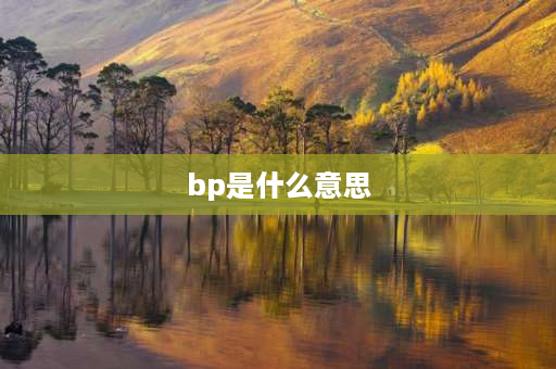 bp是什么意思 bp啥意思网络用语？