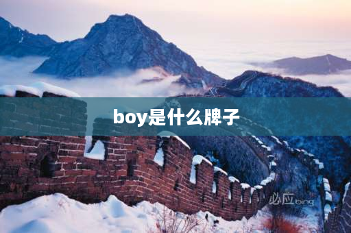 boy是什么牌子 boy是什么沙发牌子？