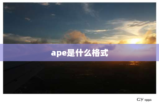 ape是什么格式 APE是什么格式？APE是什么格式？