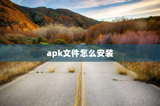 apk文件怎么安装 apks怎么安装？