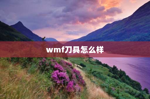 wmf刀具怎么样 德国最顶级刀具是什么品牌？三叉吗？双立人？WMF？菲仕乐？