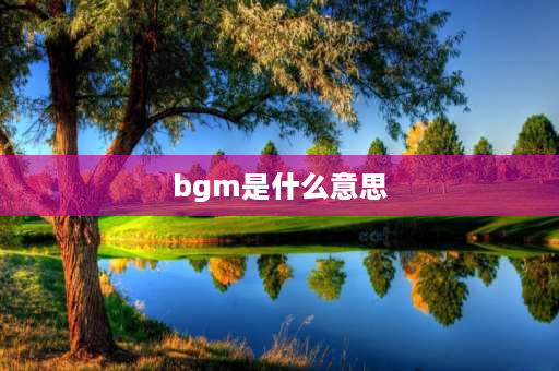 bgm是什么意思 BGM是什么意思？