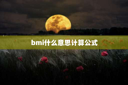 bmi什么意思计算公式 bmI计算公式？