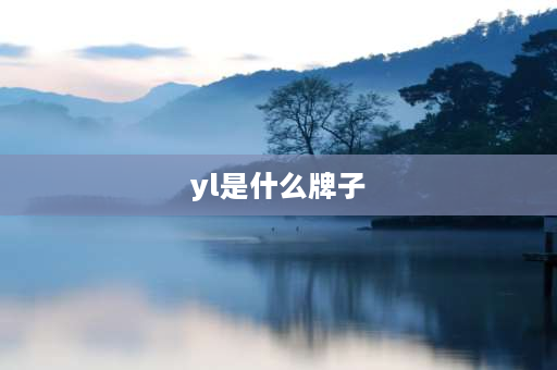 yl是什么牌子 yl是什么路由器？