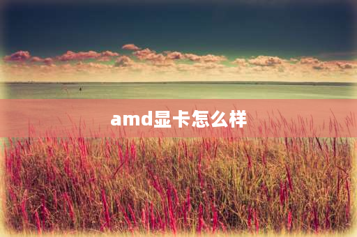 amd显卡怎么样 amdradeonr7graphics这个显卡好吗？