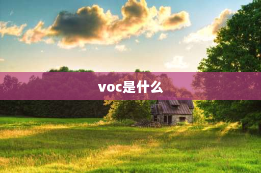 voc是什么 voc是什么意思？