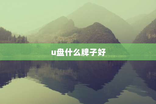 u盘什么牌子好 什么U盘质量最好？