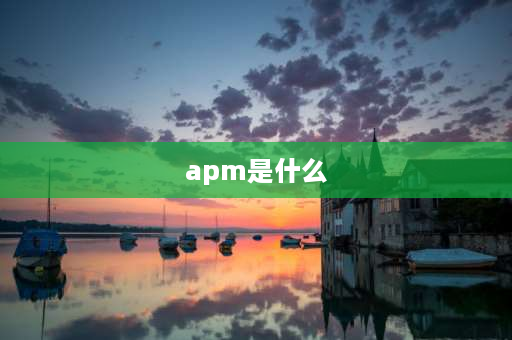 apm是什么 APM是什么意思？