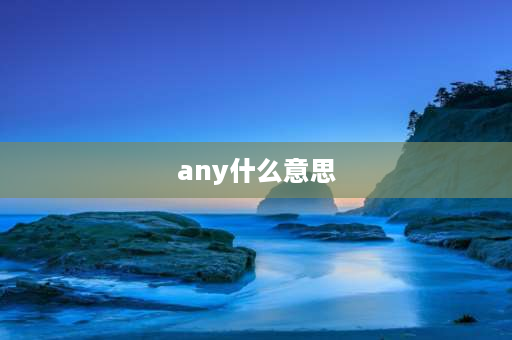 any什么意思 any的用法与区别？