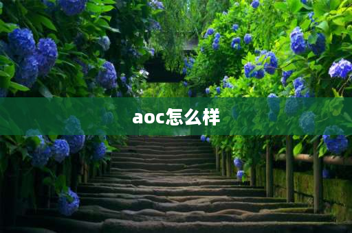 aoc怎么样 aoc电视怎么样？aoc电视怎么样？