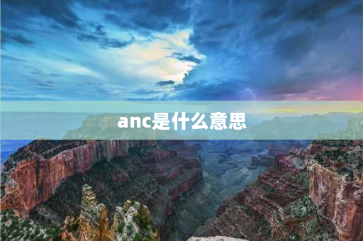 anc是什么意思 anc十字绣什么意思？