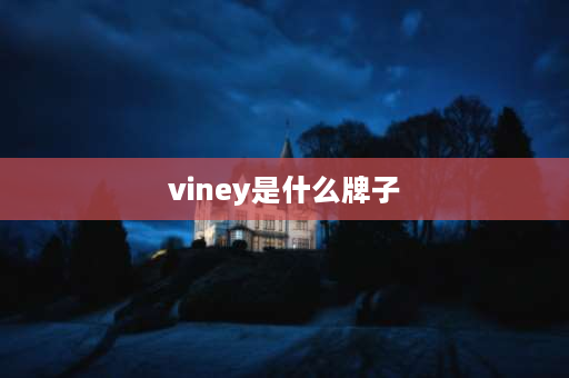 viney是什么牌子 viny包包什么档次？