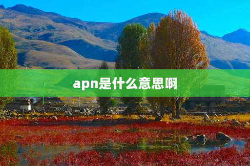 apn是什么意思啊 APN是什么意思？