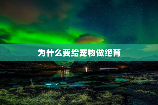 为什么要给宠物做绝育 为什么流浪狗在领养回家之前要做绝育手术？