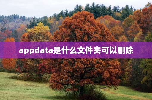 appdata是什么文件夹可以删除 c盘data文件可以删除吗？