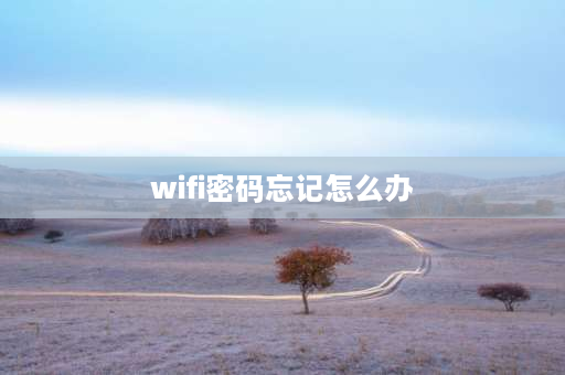 wifi密码忘记怎么办 wifi账号密码忘了怎么办？